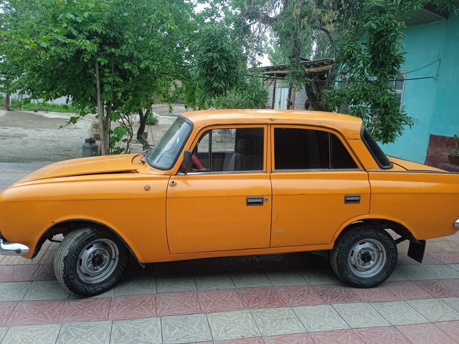 Xolati zoʻr matori alo kelib koʻroʻraslar