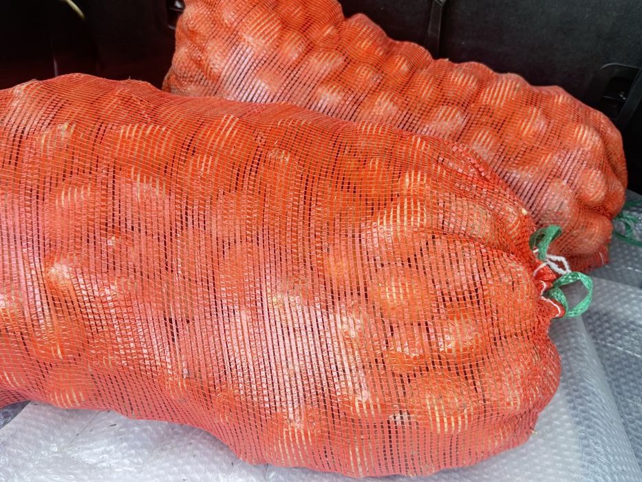 Семена картошки сорт магна