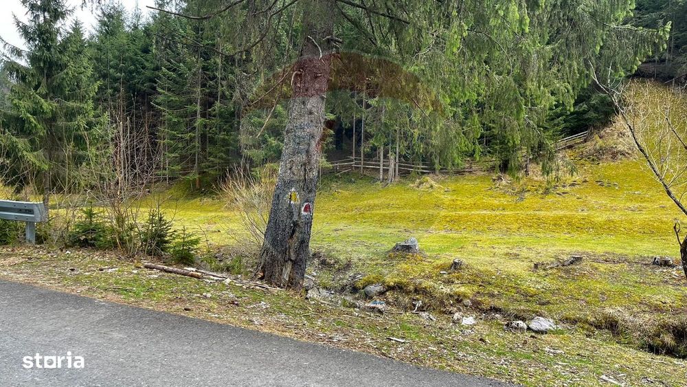 Arieșeni–Strada Fața Cristesei -Teren 4.331 mp cu Peisaj de Poveste