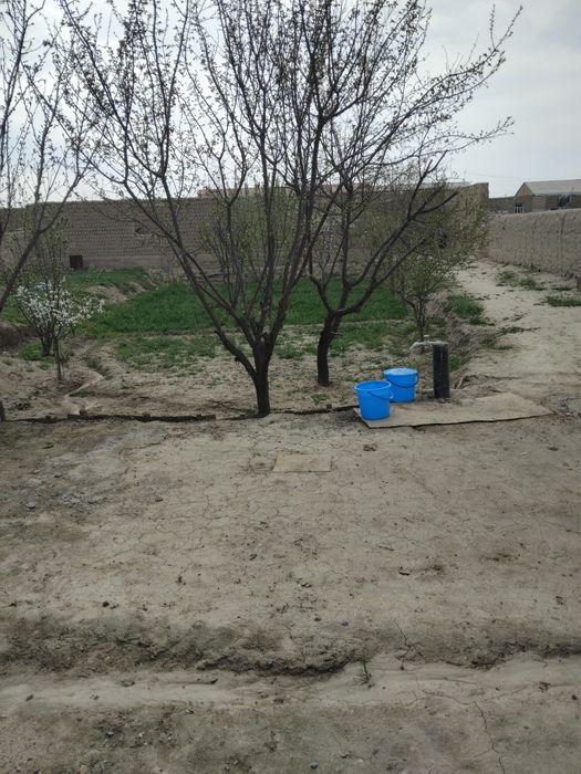 Xovli sotiladi 9 sotix