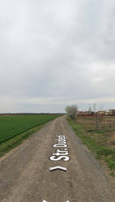 10000 Mp, FRUMUȘANI, Pădurișu