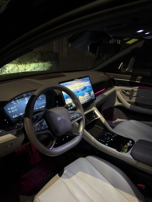 Byd chempion smart 2025