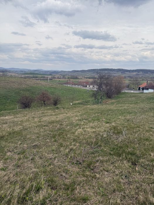 Teren intravilan de vanzare Bihor - 4793 mp2