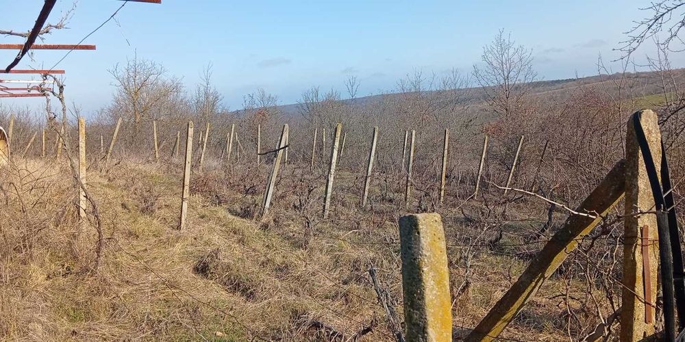 Парцел с.Звездица