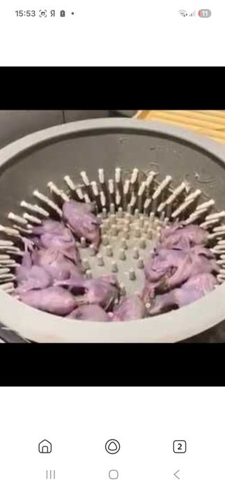 Бедана тозалаш учун палес