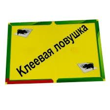 Клей ловушка для мышей