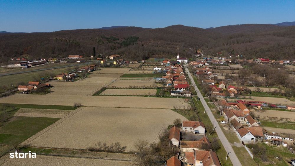 Loc de casă în Odvoș - Conop 3000mp