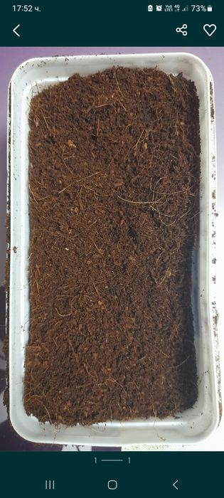 Калции и кокосова почва за охлюви