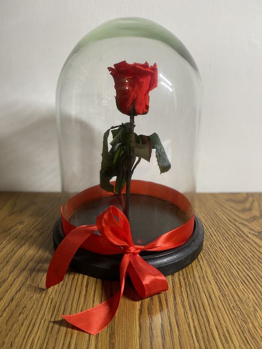 Trandafir criogenizat