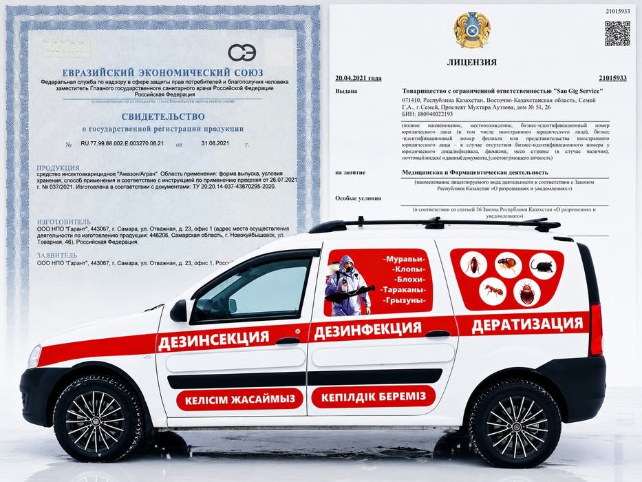 Клопы Тараканы Муравьи Грызуны