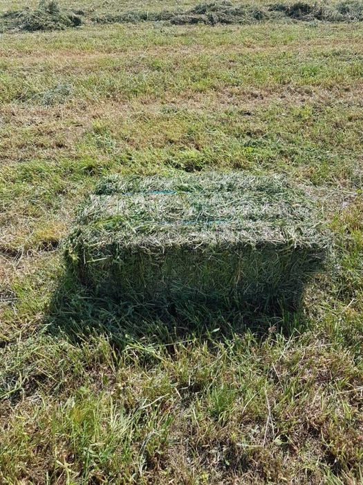 Vand baloti pentru animale