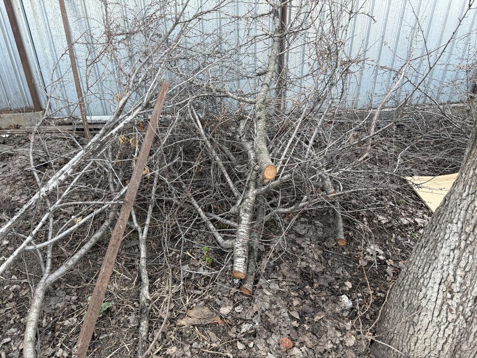 Дрова даром самовывоз