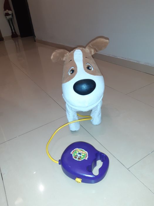 Интерактивно куче CACAMAX