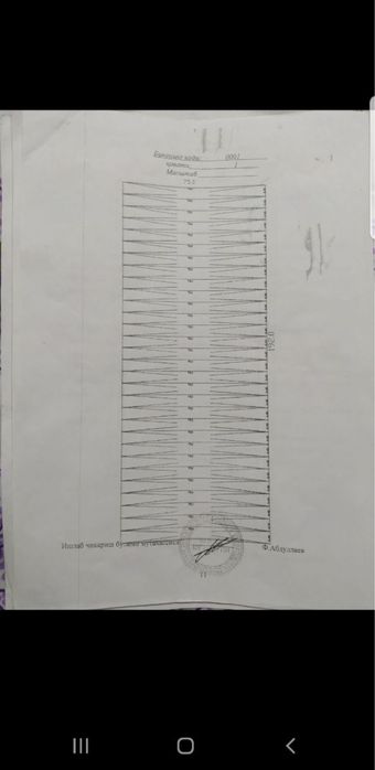 Теплица в Сирдарё