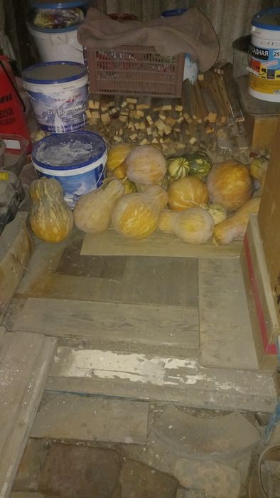 Тыква мантная сладкая