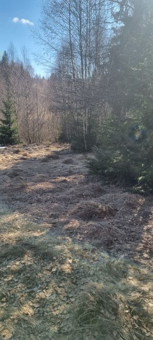 De vânzare teren  in Râșca