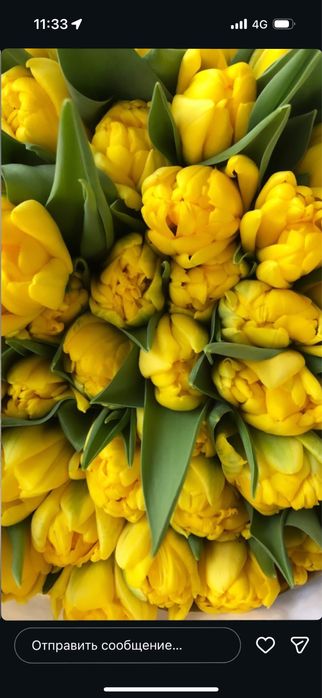 Тюльпаны букетами  по низким ценам