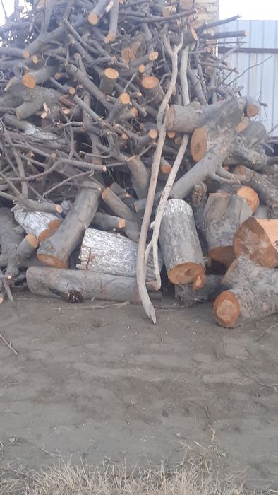 Olma va o'rik kundalari sotiladi