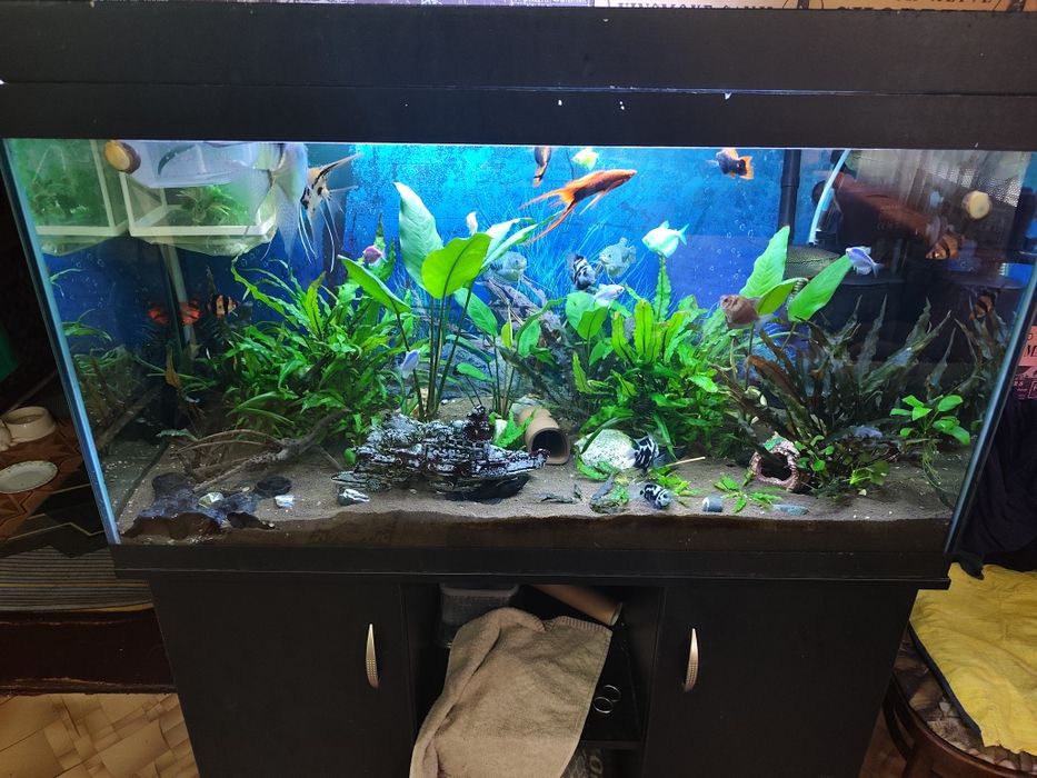 Аквариум 200 литров