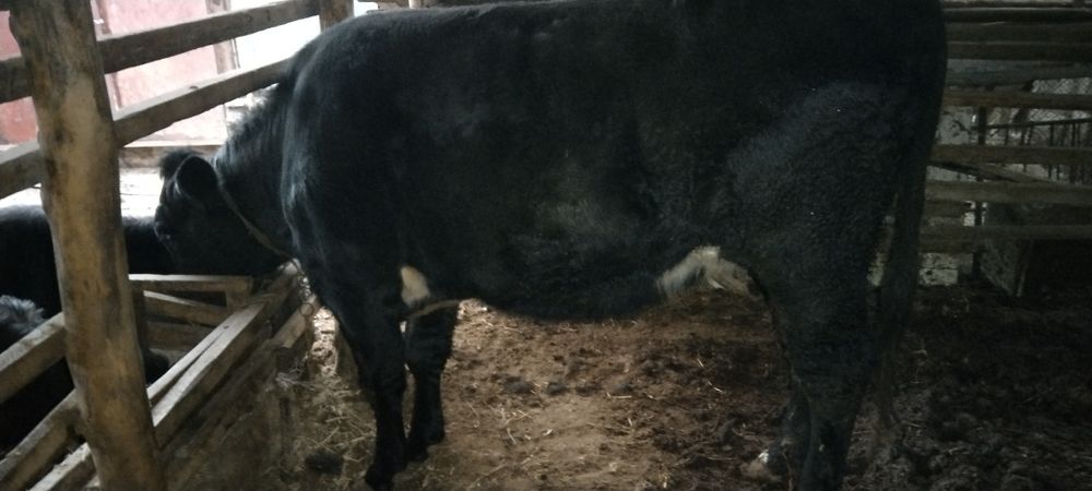 Сатылады срочно емес