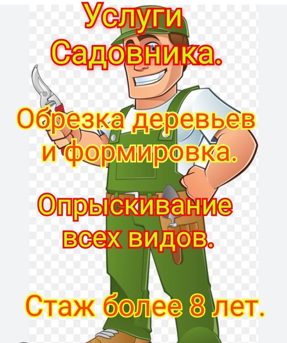 Обрезка плодовых деревьев