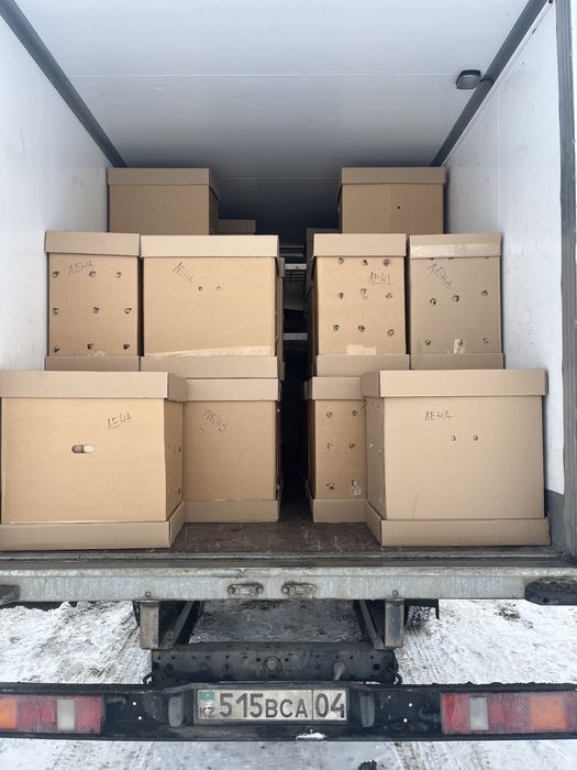 Услуги Газель рефрижератор термобудка реф термо   100мм