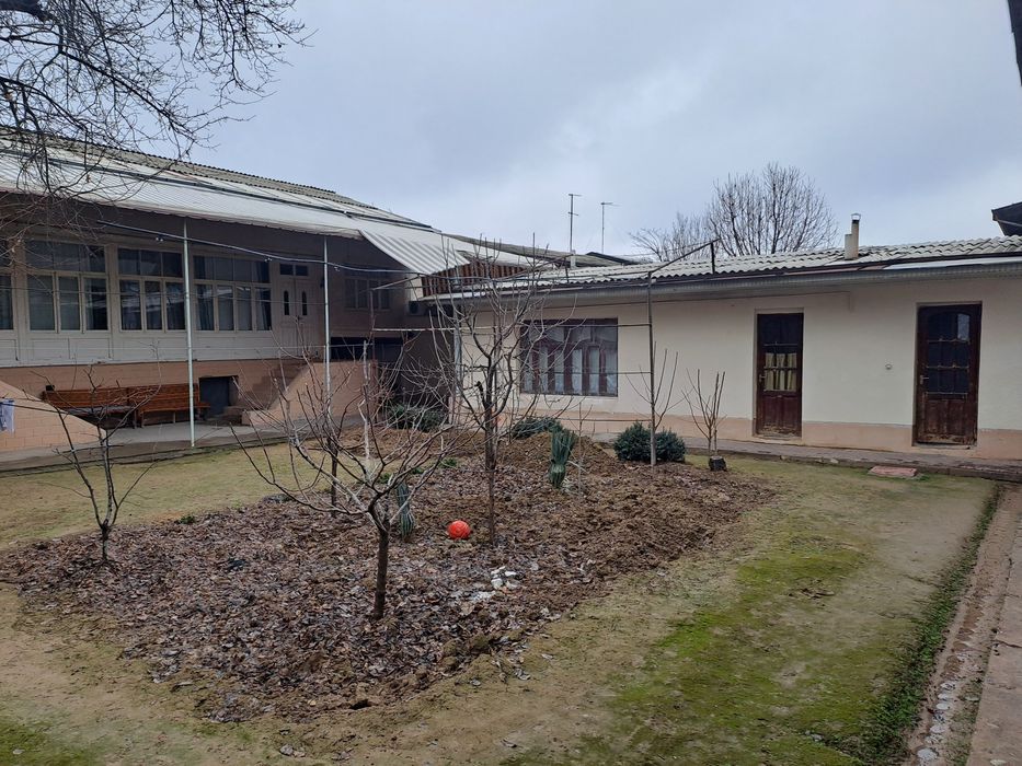 Toshkent shaxar Uchtepa tumani orikzor maxxalas