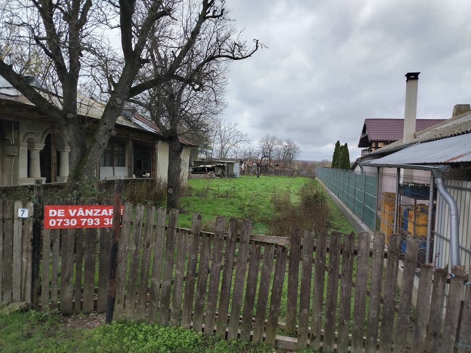 Vând teren intravilan 1000 ,pregătit pentru vânzare  .