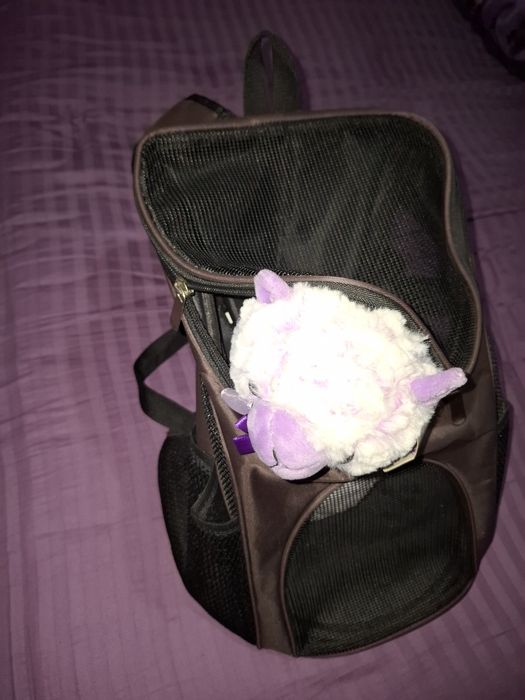 Продаю рюкзак переноска для  домашних питомцев