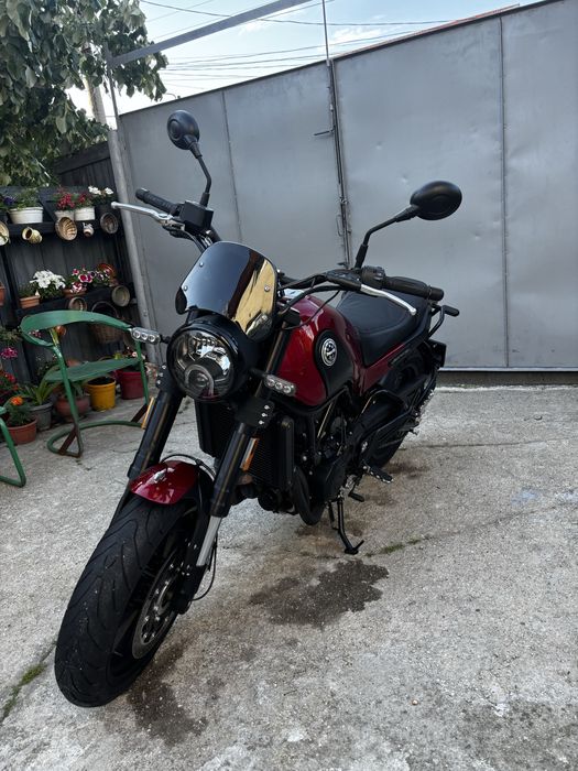 Benelli leoncino
