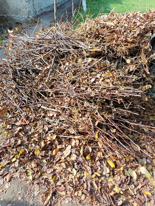 О'тин тандир учун