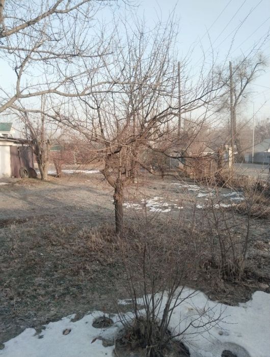 Продам дом Балтабай