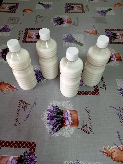 Vând lapte de măgăriță