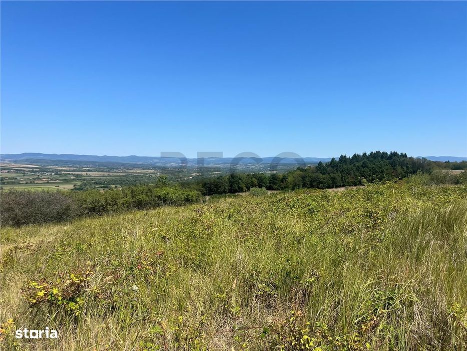 RECO Teren extravilan Holod 27400 mp