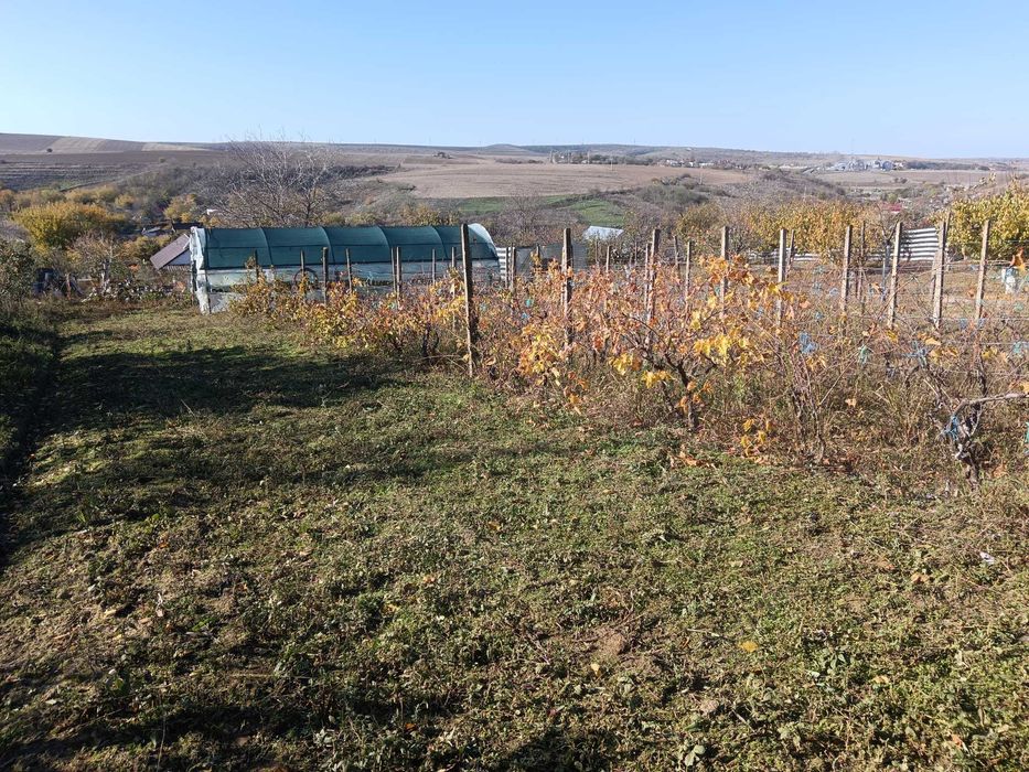 Teren intravilan sat Malcoci, com. Nufaru, jud. Tulcea