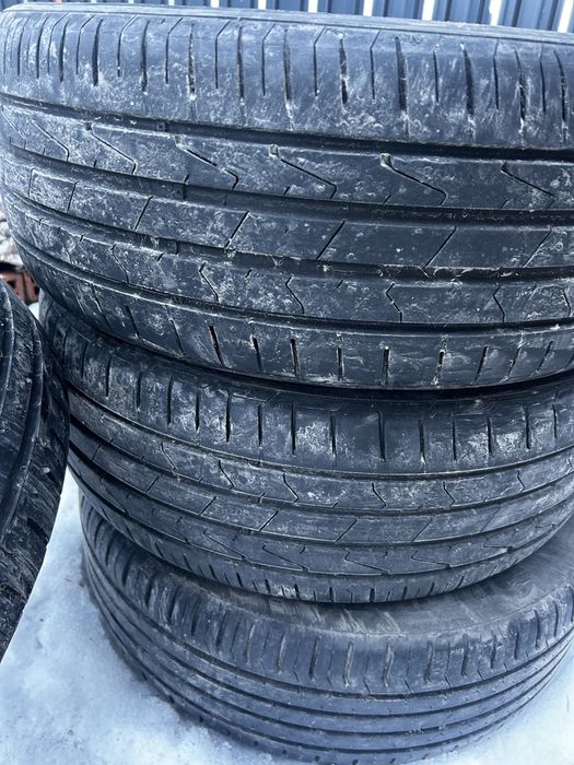 vand caucicuri de vara