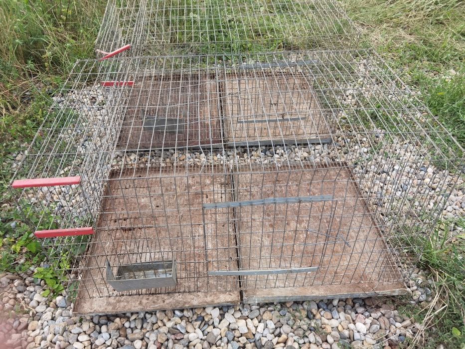 Cușcă iepuri, 4 buc 100x60x50