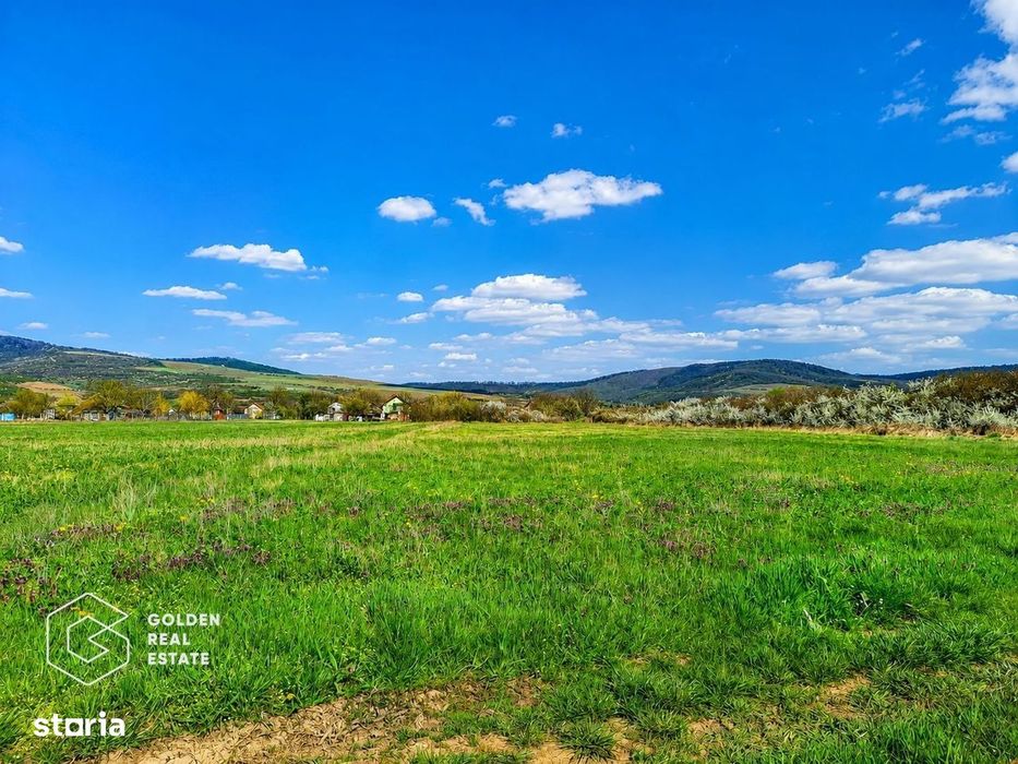 Teren agricol extravilan 250,47 ha, Șiștarovăț, județul Arad