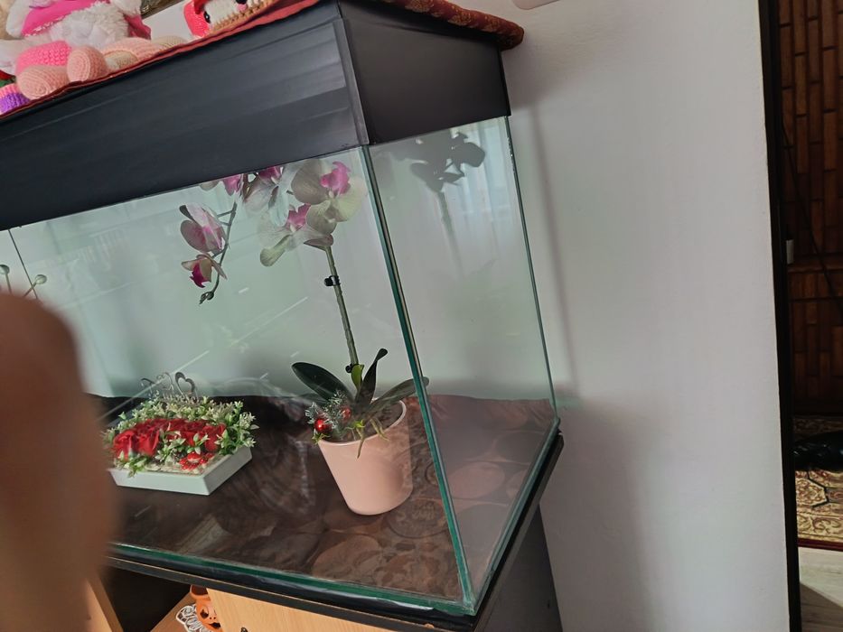 Acvariu 220 litri