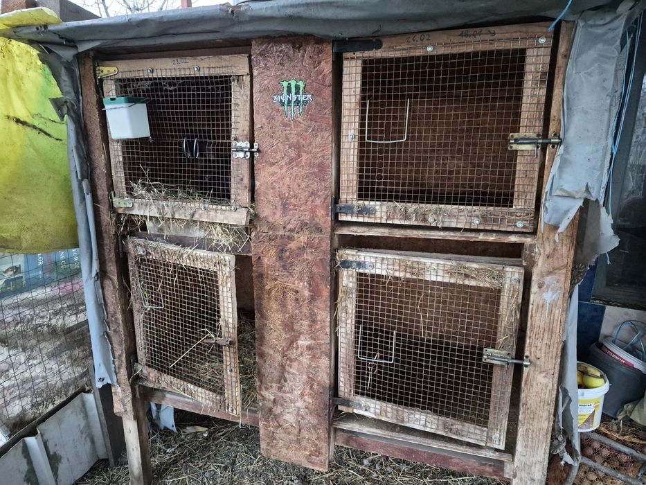 Cuști iepuri/pui gaina