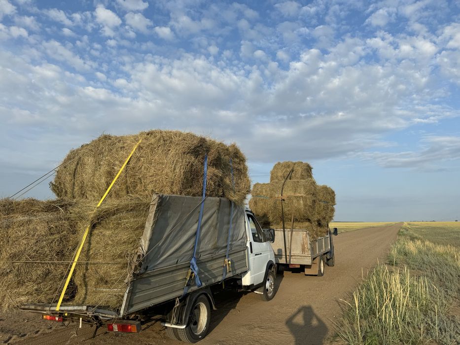 Продам. Сено. Житняк разнотравье