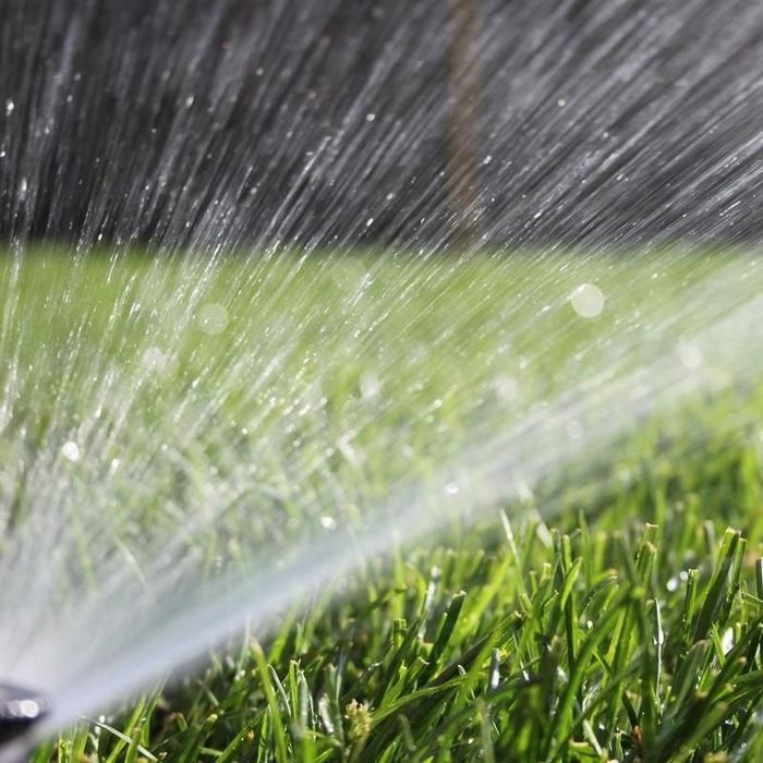 Газон екиш хизмати