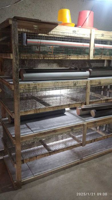 BROYLER JO'JA boqish uchun Kletka