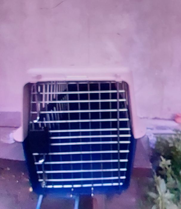 Переноска для собак