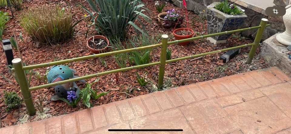 Araci/pari de bambus