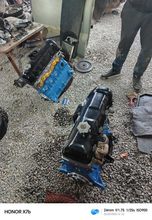 Juguli matorlar 03 06 3.7 terilgan sotiladi