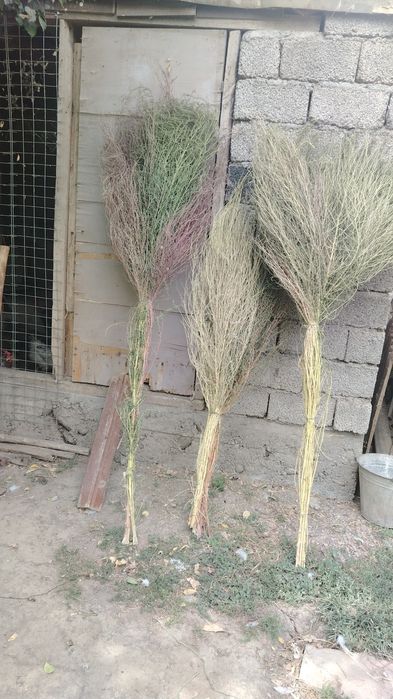 Hardcore Tits ni onlayn tomosha qiling