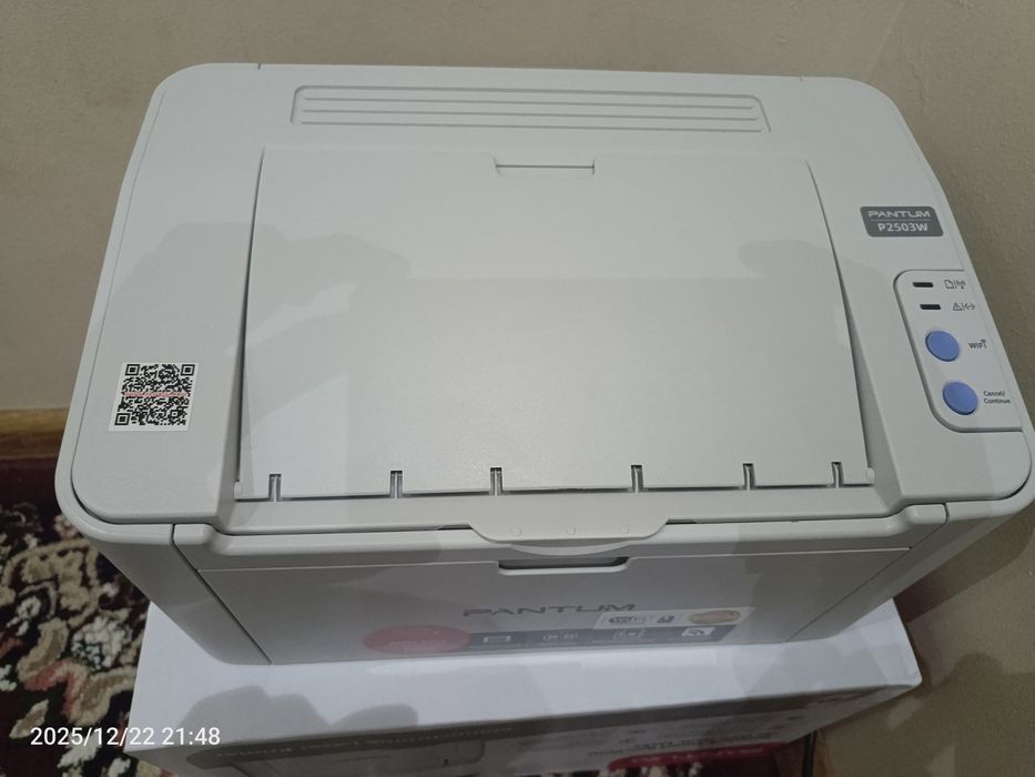 Pantum P2503W printer toza