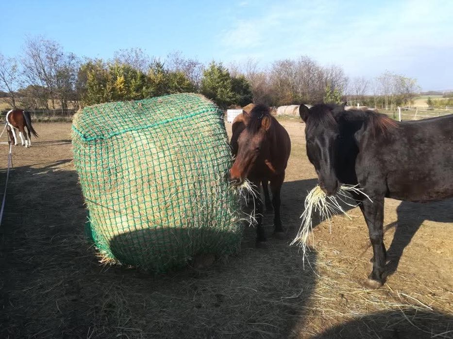 Plasă de fân pentru cai