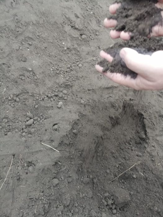 Продаю чернозем перегной